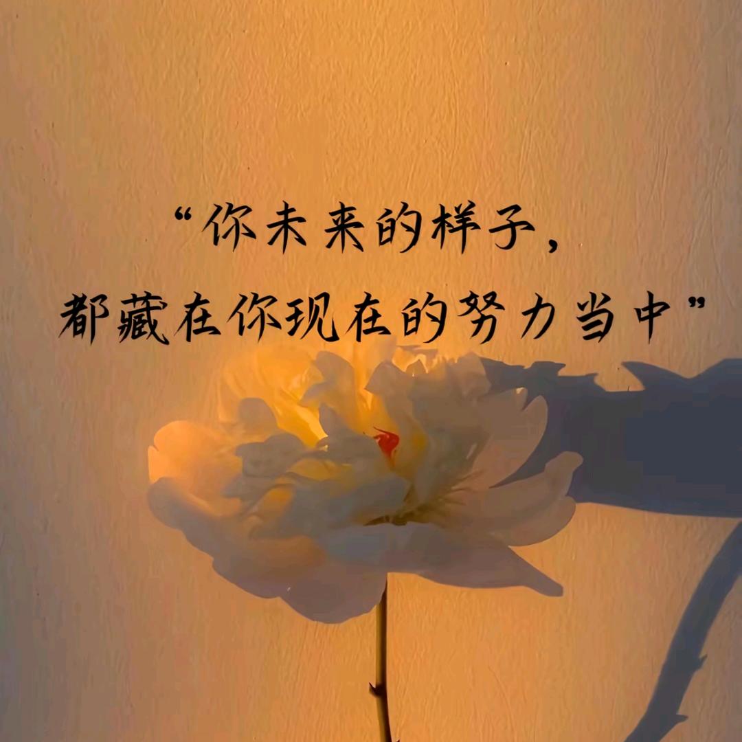 小懒猫💞