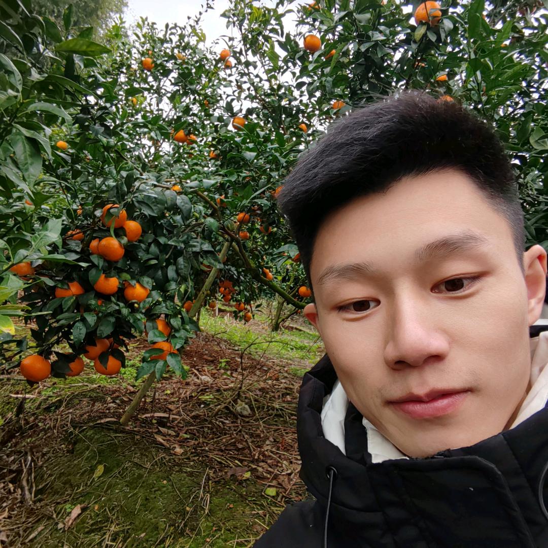 东莞下桥水果批发市场-云果-标