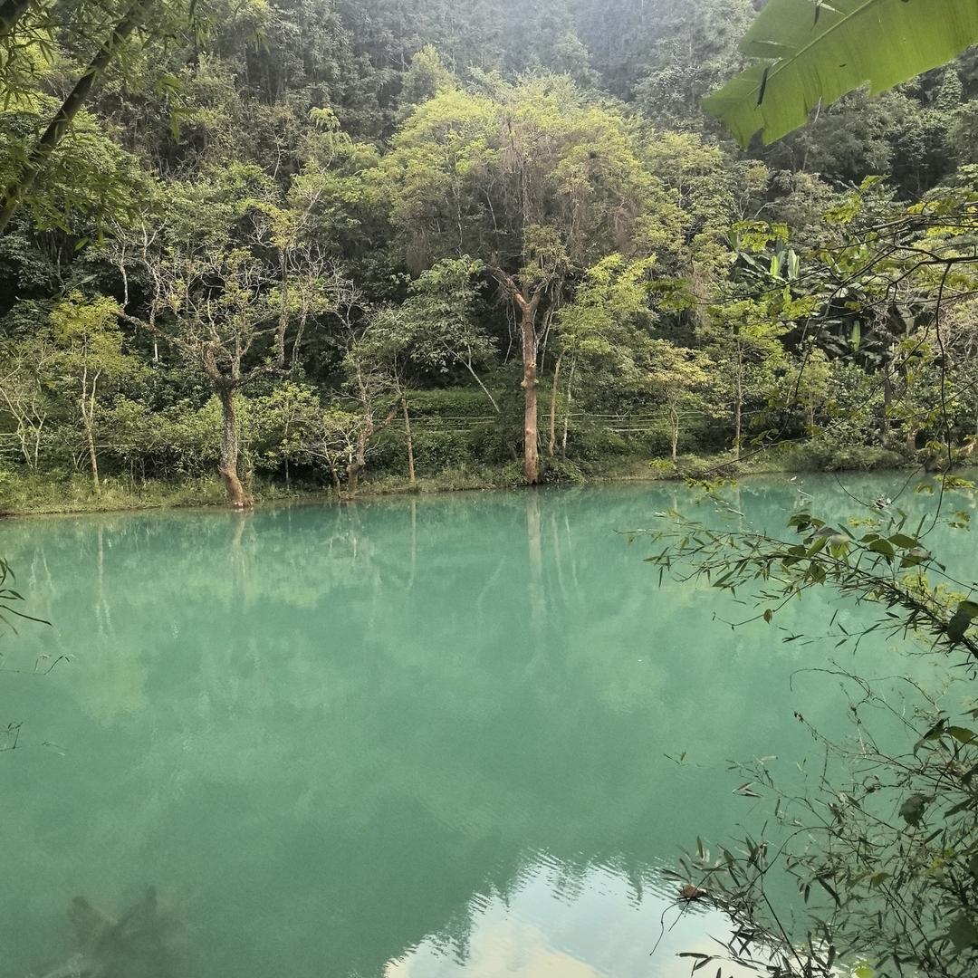 鹤辞丶