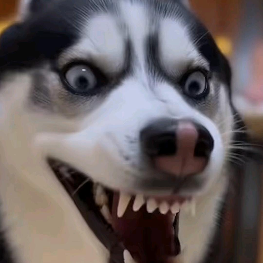 重生之我在龙之谷当氪佬