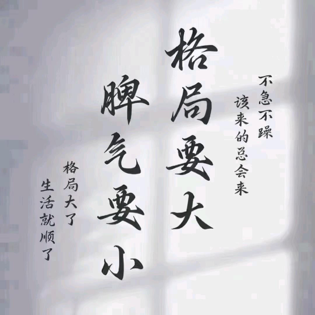 杜老师 AI实景直播