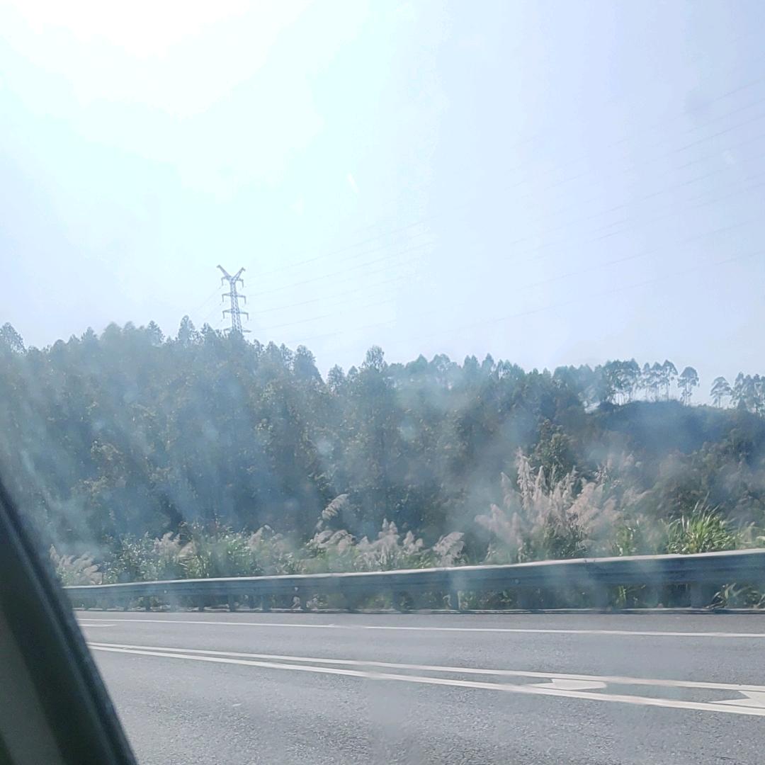 老黎