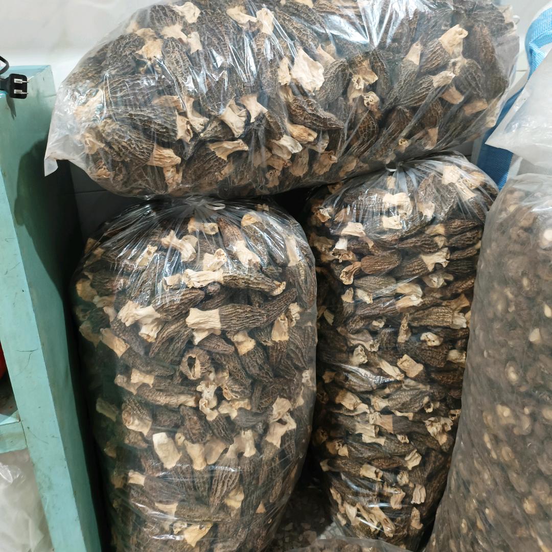 福建茂灵食用菌有限公司