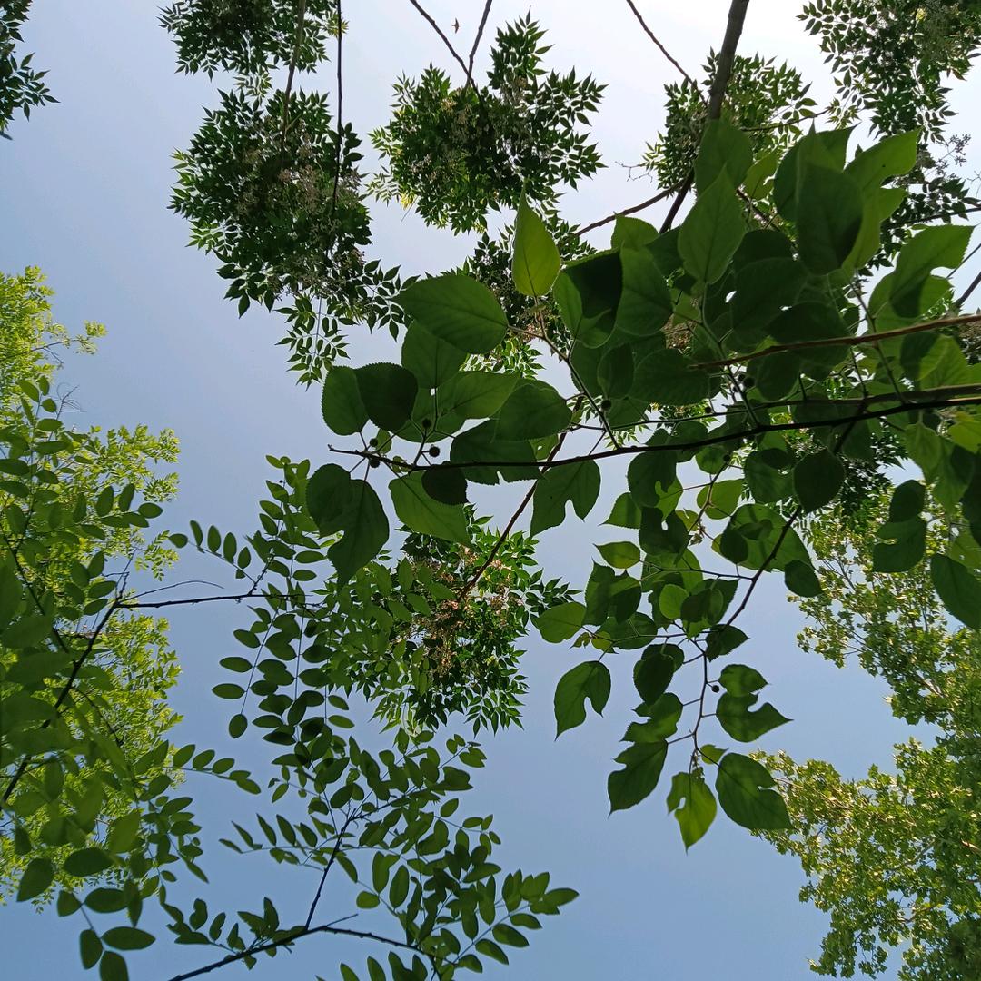 十年🍃🍃