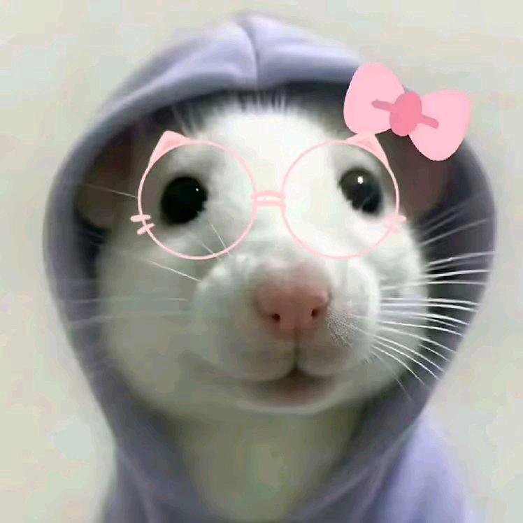 小露欣.🐾