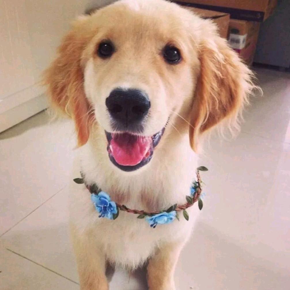 人潮拥挤、他姓李