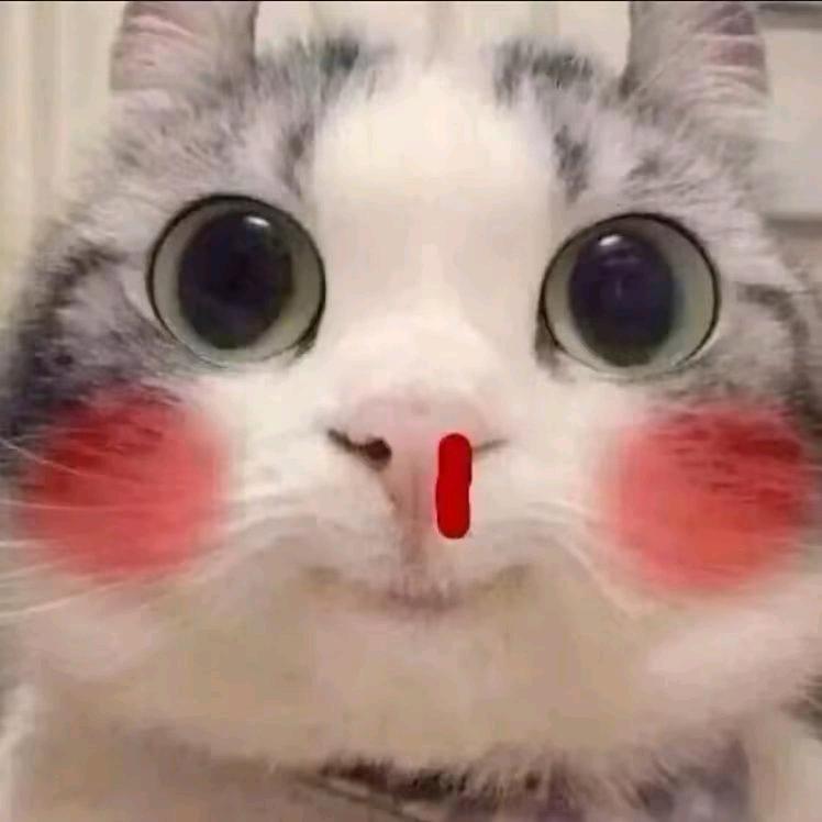 এ᭄ꦿ꯭ℒℴѵℯ佛爷꧔ꦿ