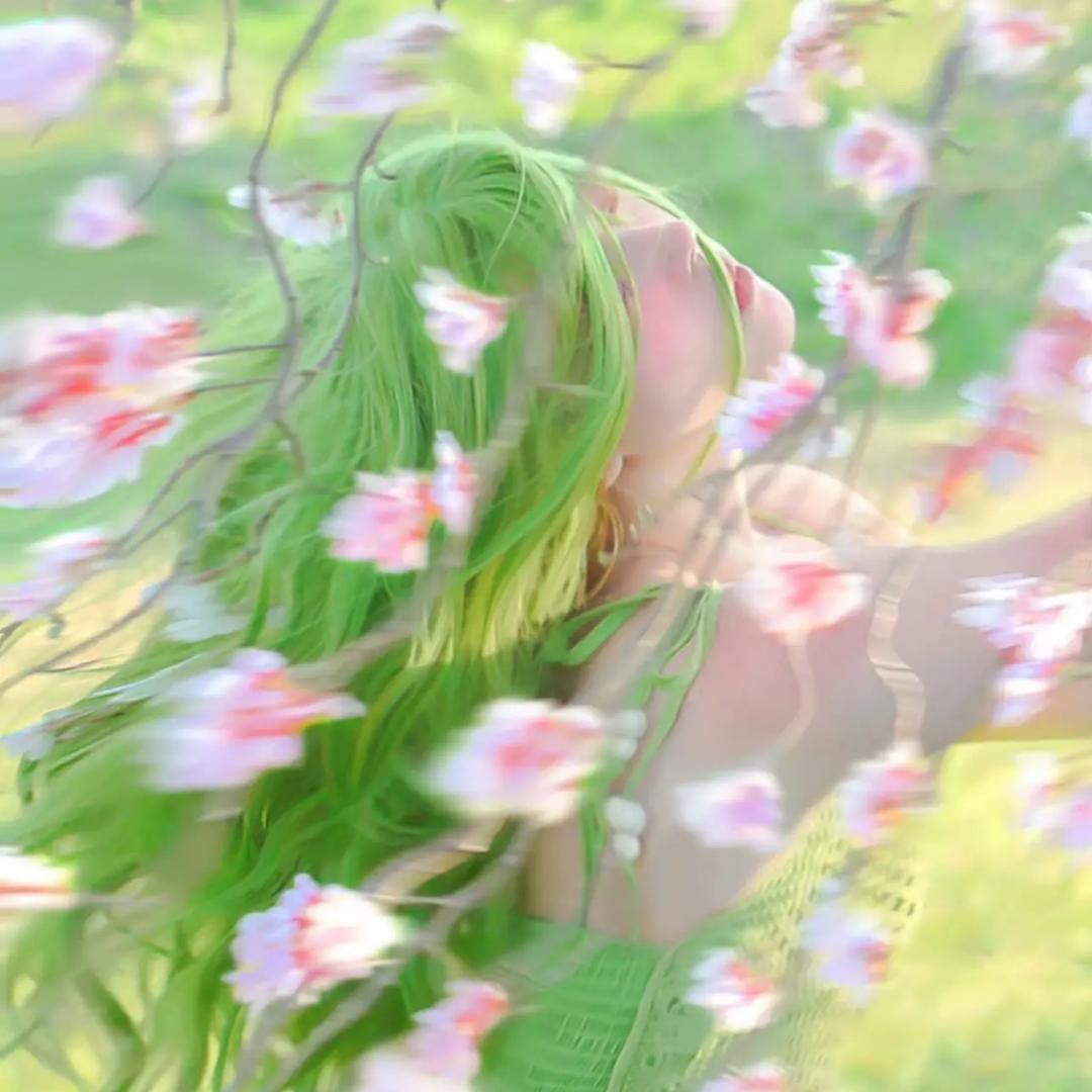 一朵小红花