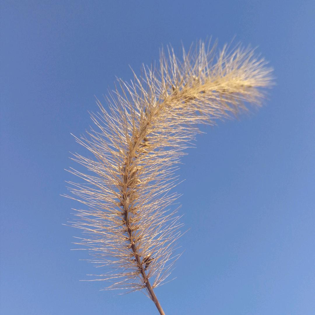 红遍自己的天地