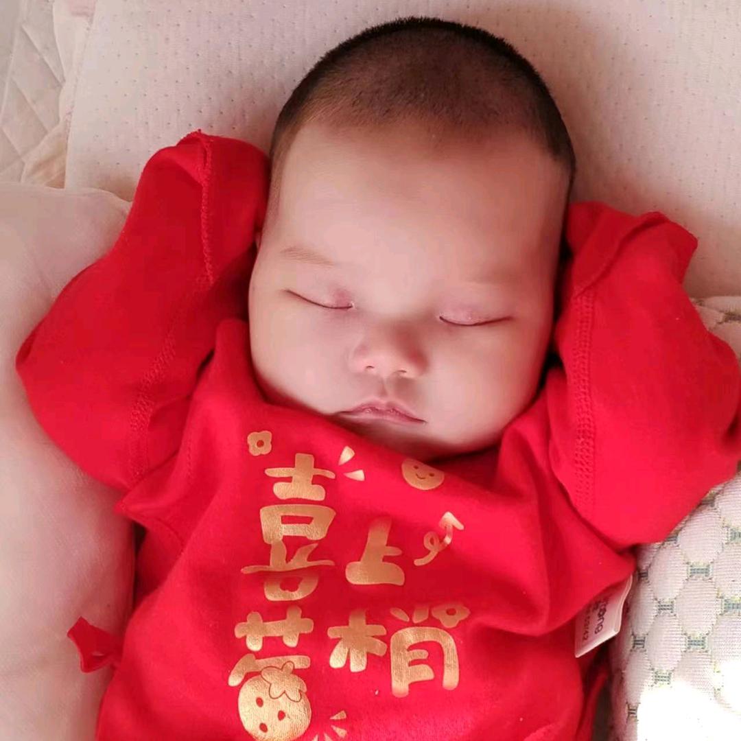 简单的我只剩下简单