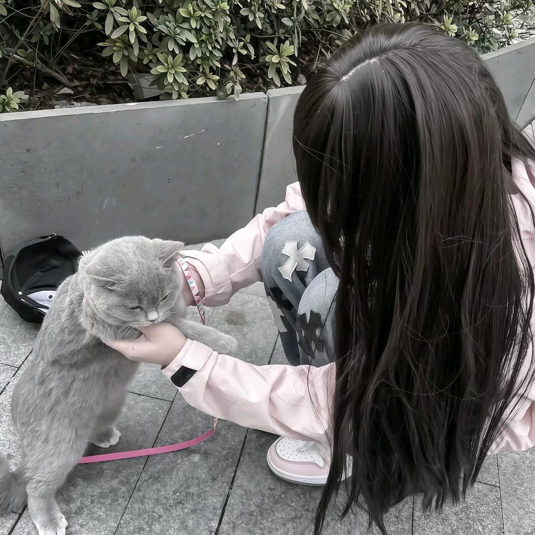 你的命运里面没有我的一席之地吗头像