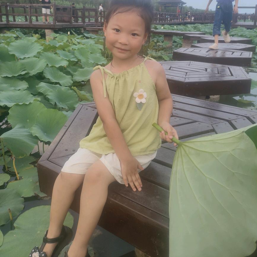 楠