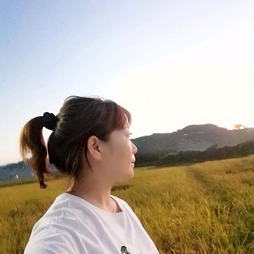 尧市燕子烟花爆竹批发