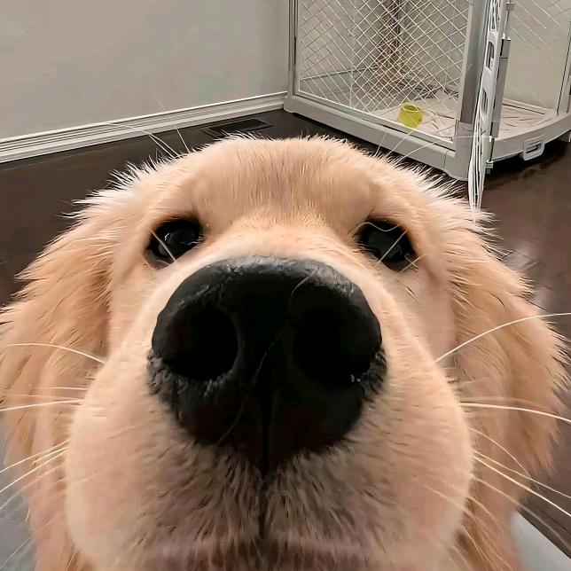 我爱上班