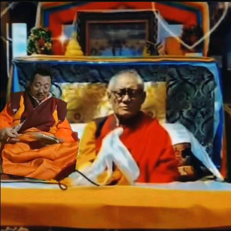 མི་ཚེ་།💍