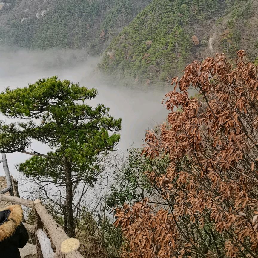 华华( ˘ ³˘)❤