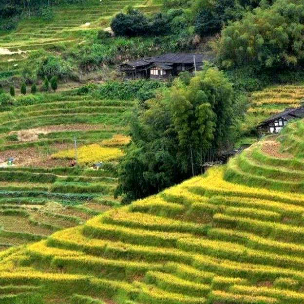 ღ᭄💞李꧔ꦿ᭄明 ღ真ღ单🌲身᭄