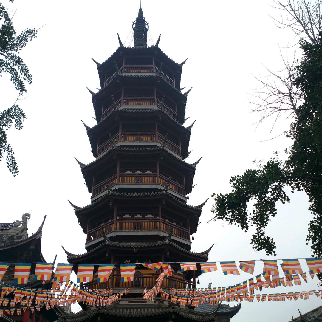 血狼1462