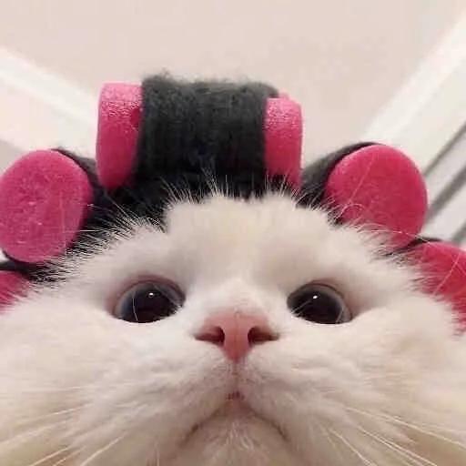 重生之我在搞直播