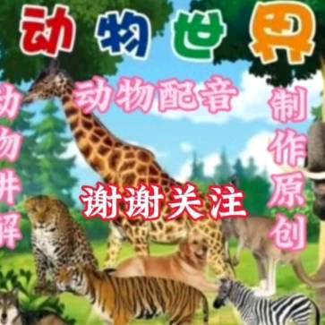 老表动物配音
