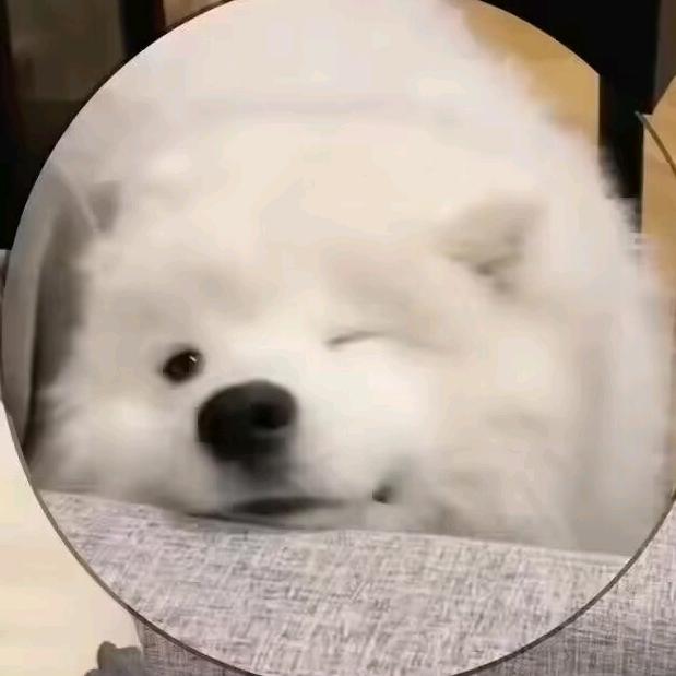 白白的耶