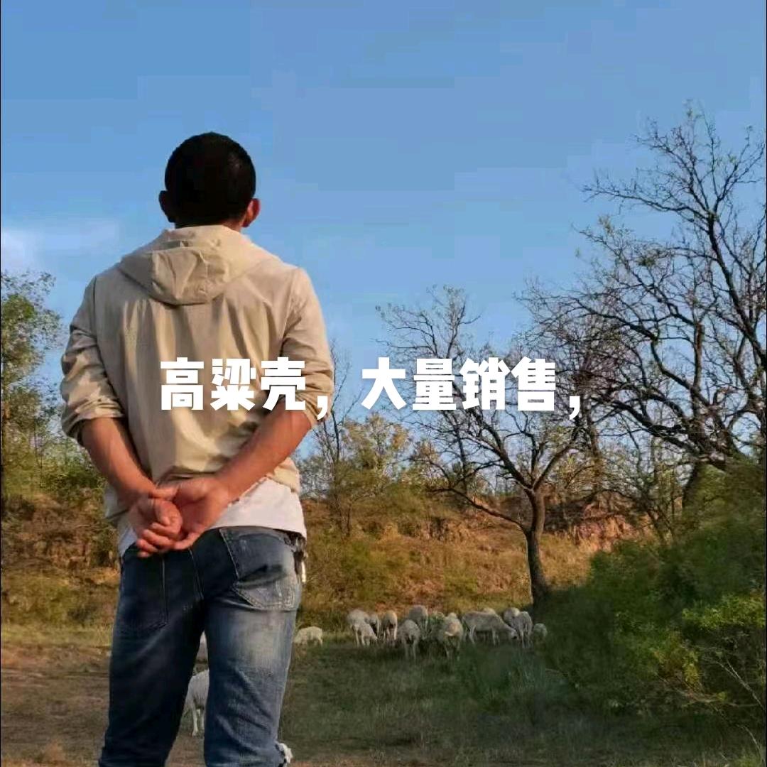 奋斗，
