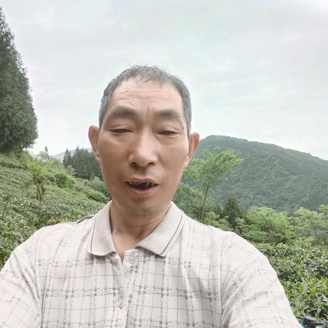 春天巨龙