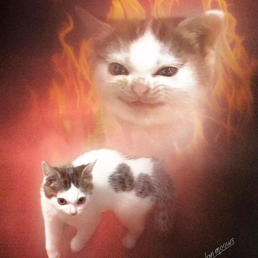 123456