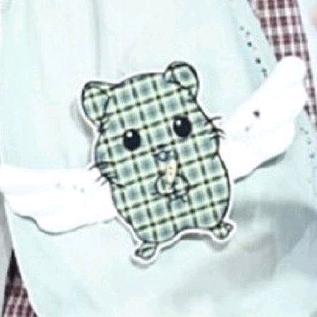 洋葱紫圈圈