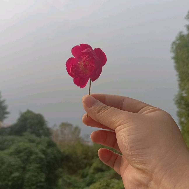 A瑶❤️A萱❤️
