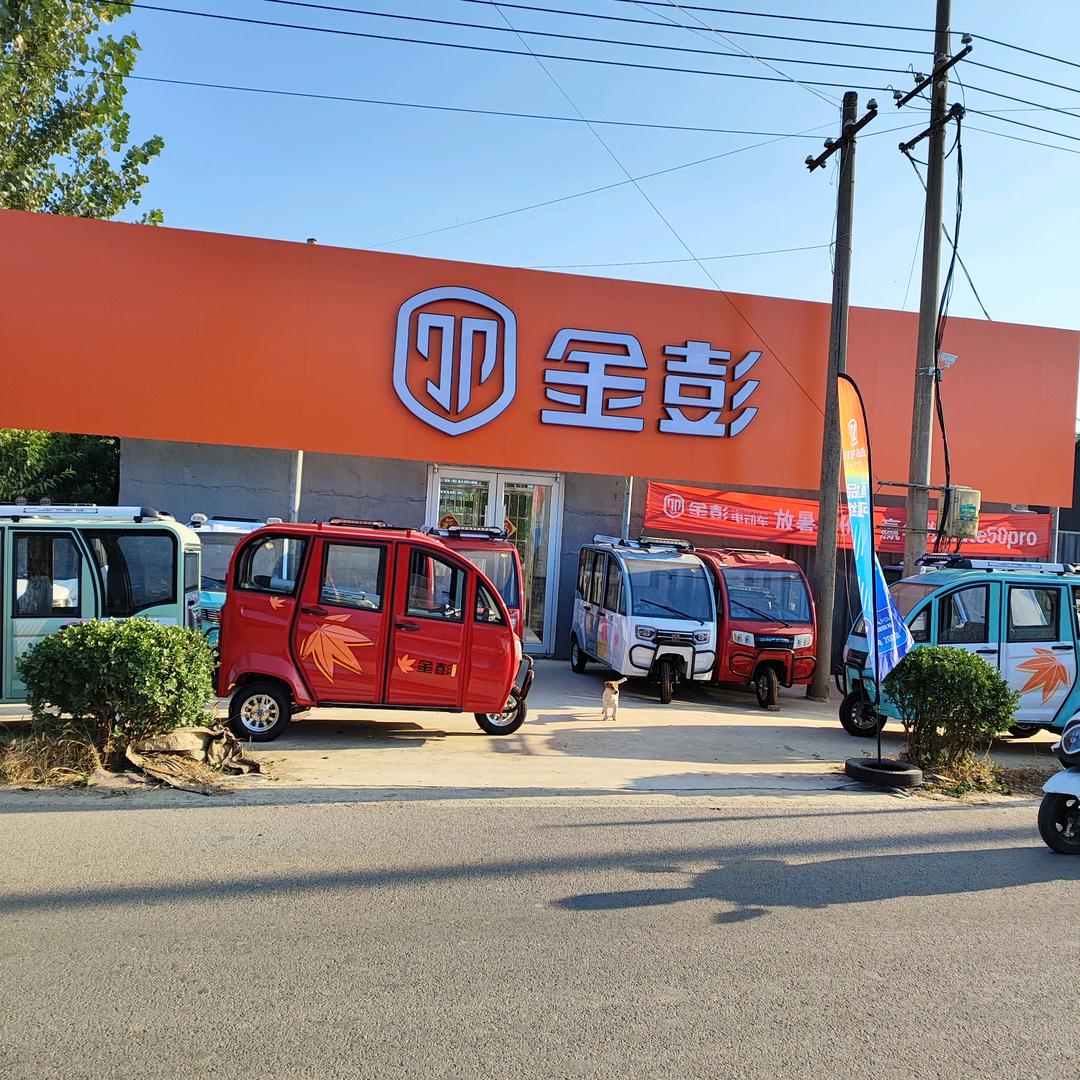 金彭 新能源