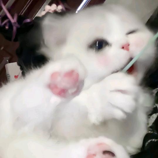 葡萄味蕾