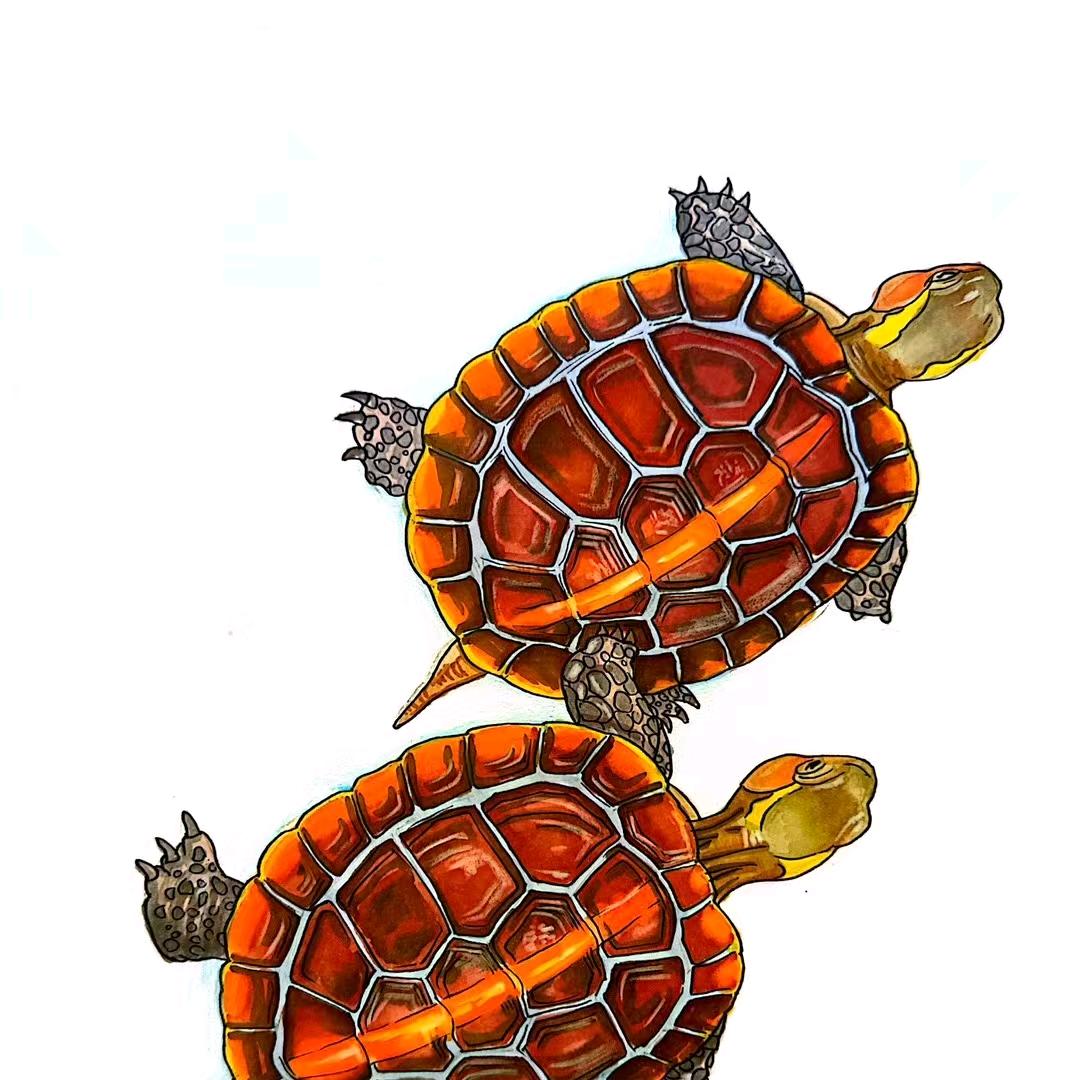 八方来财