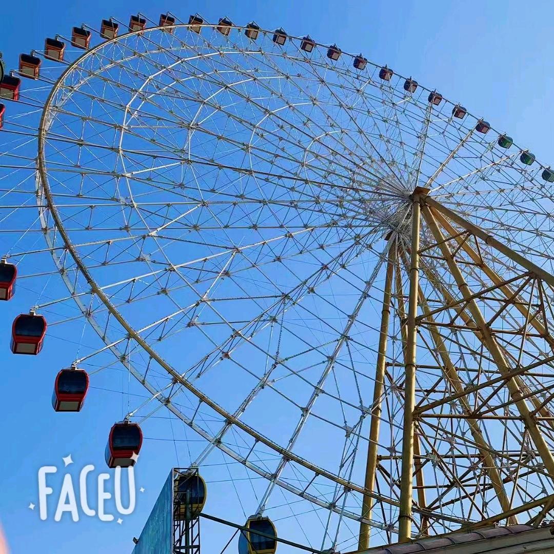 🍀往后余生🍀