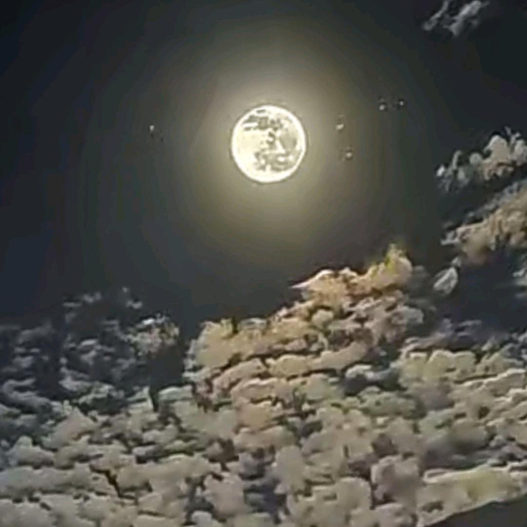 八零