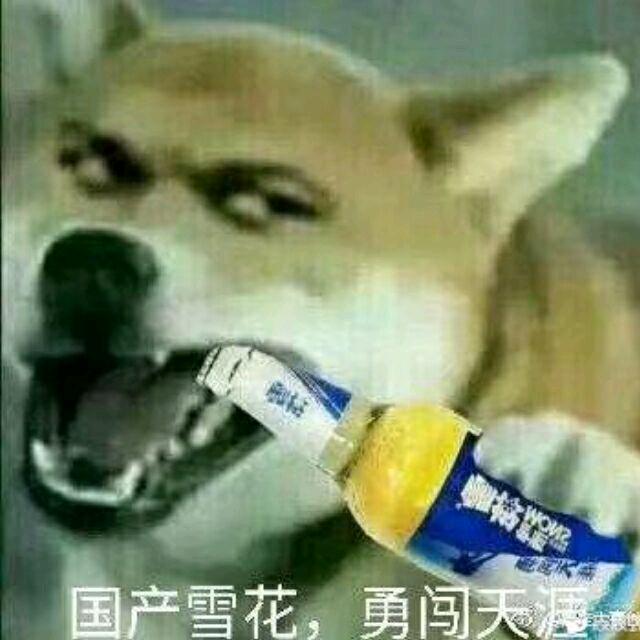 天空下的海雾