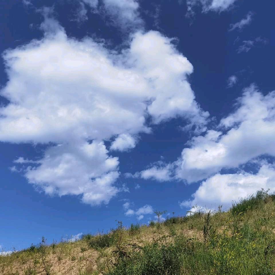 卡布奇诺小布丁