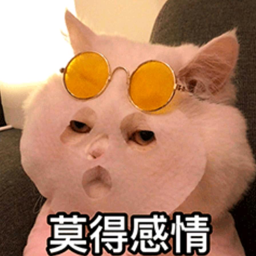 金钥西Jasmine❤️💙