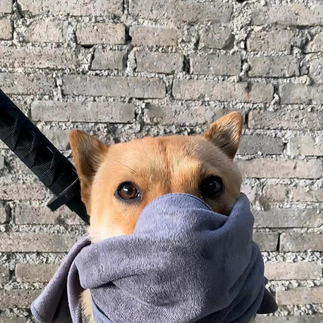 太阳要伸懒腰