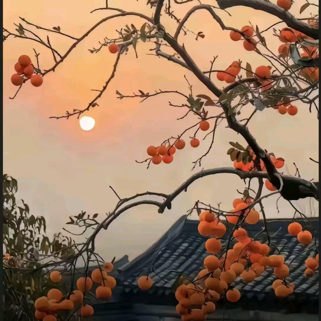 💗᭄余生ᝰᩚ随心