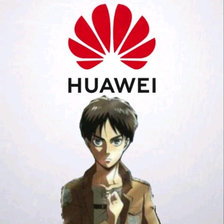 华为战队爱国者