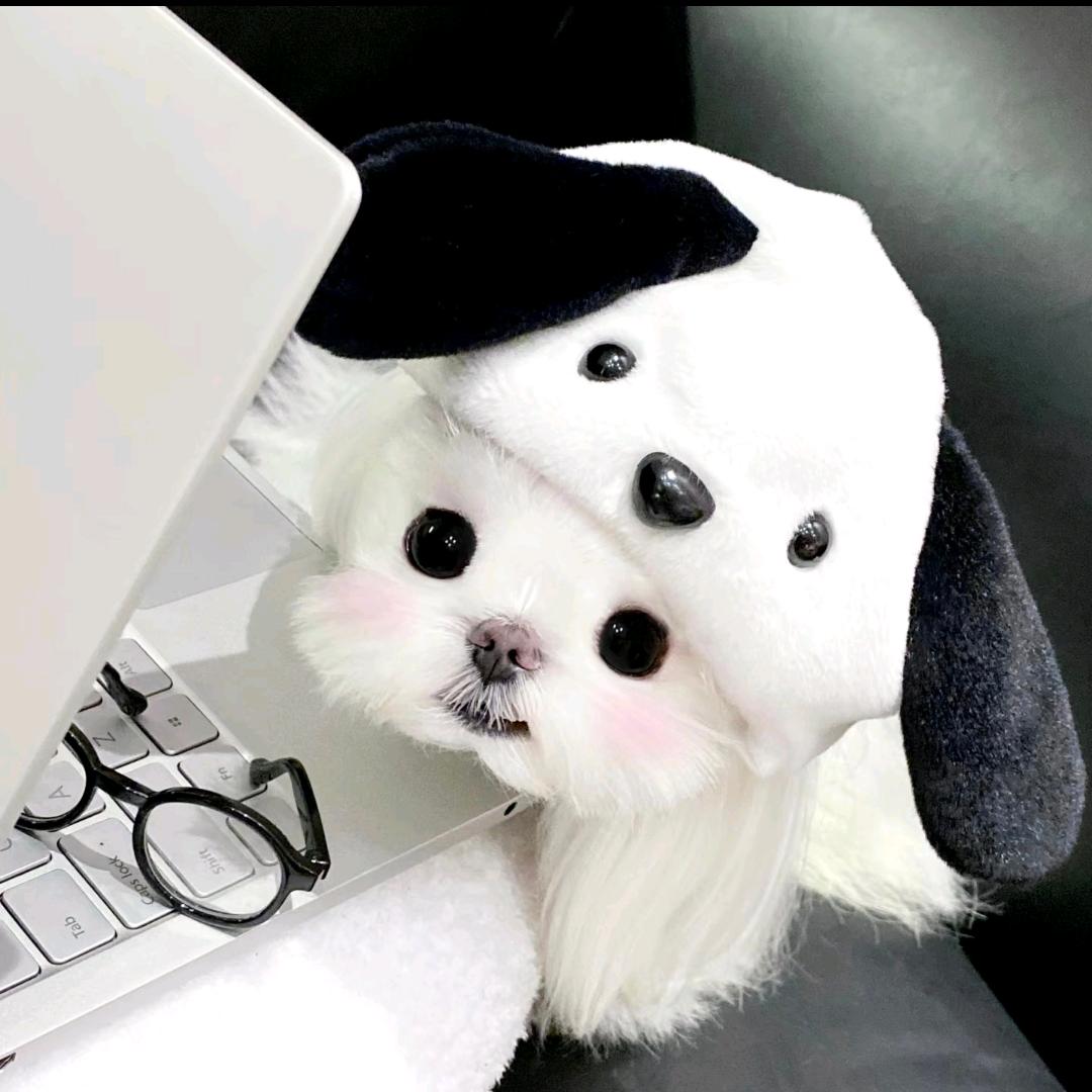 -小 情緒.💤