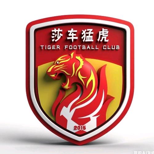 莎车猛虎足球青训