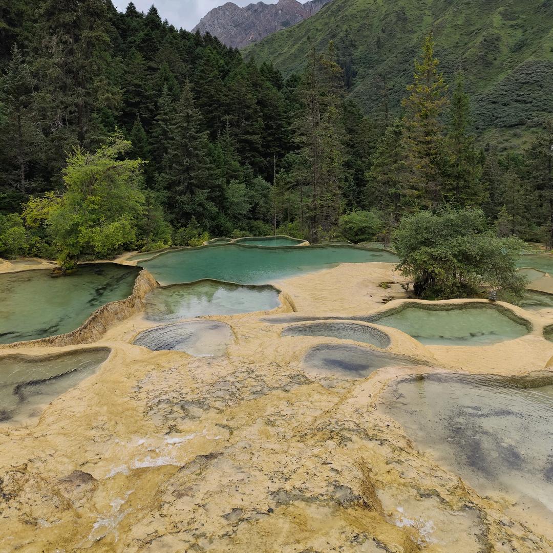 阿呐呐叽呜嘟嘟