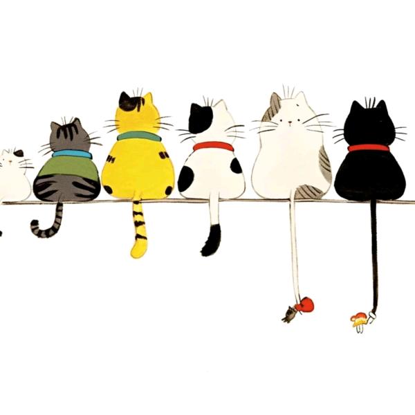 吃得多又吃得摸