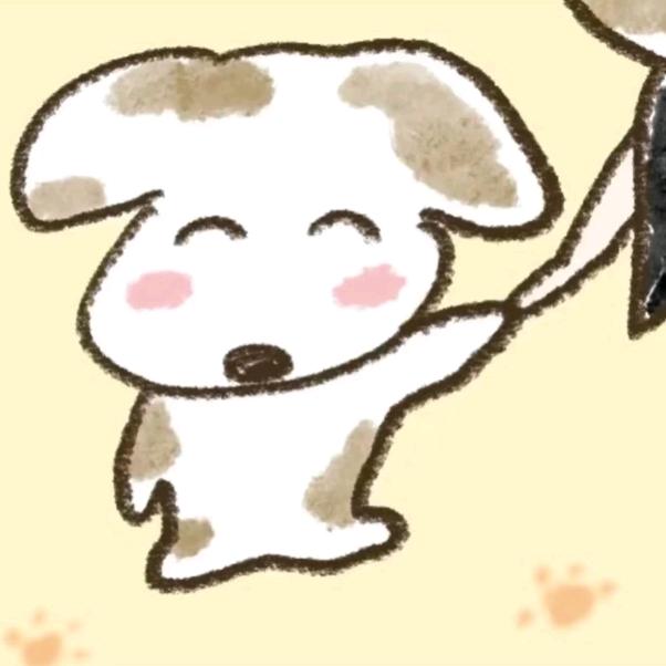 系鞋带冠军
