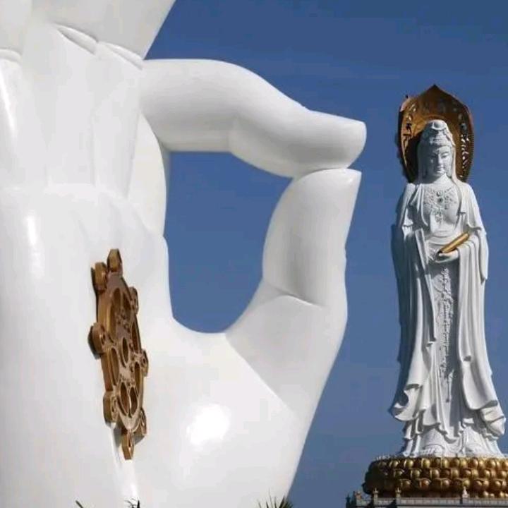 青春飞翔—水木年华