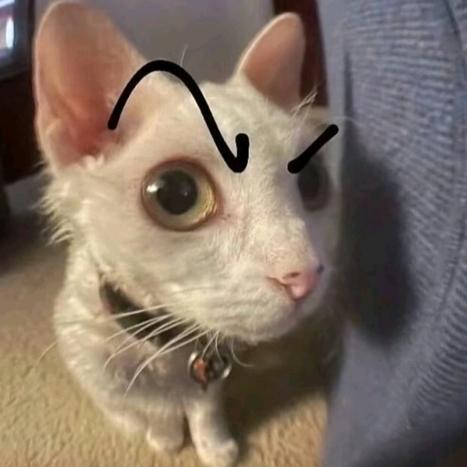 ∑
