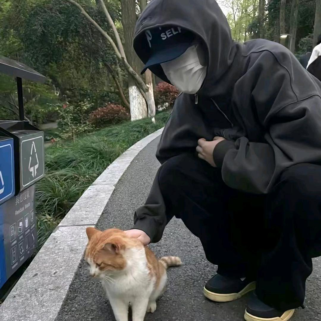 没才艺的小🐷