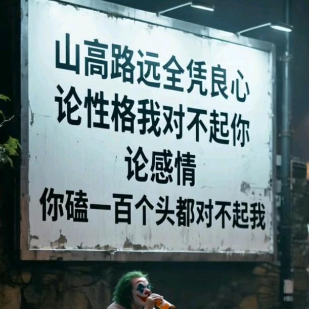小趴菜的日常